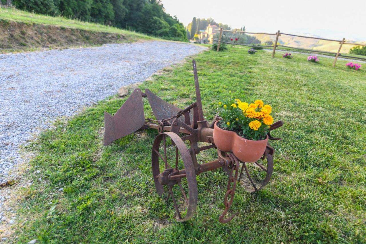 Agriturismo Poggio Ridulfo 渥尔特拉 外观 照片
