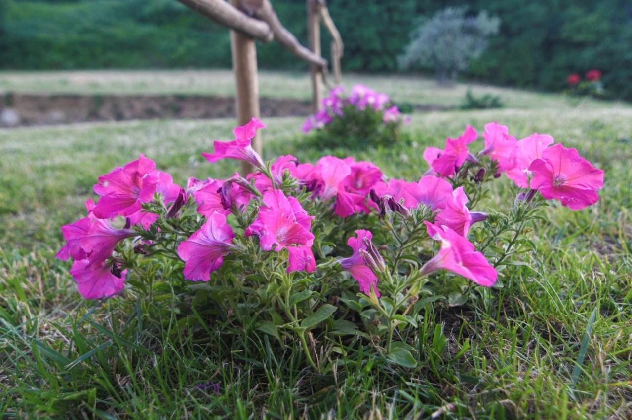 Agriturismo Poggio Ridulfo 渥尔特拉 外观 照片